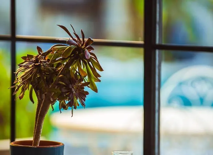 Cumbali (adults Only) Alacati