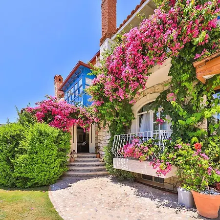 מלון Cumbali (adults Only) אלאקאטי