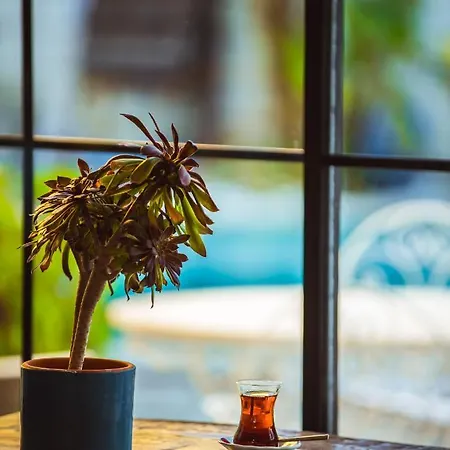 Cumbali (adults Only +12) Alacati